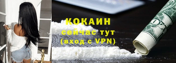 прущие грибы Абинск