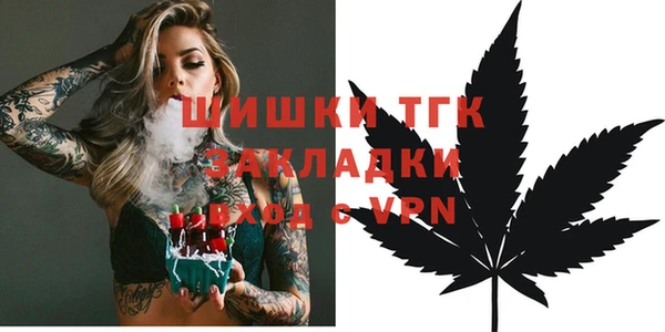 прущие грибы Абинск