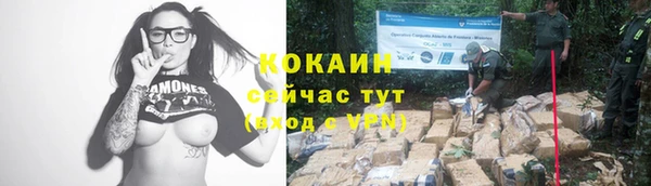 прущие грибы Абинск
