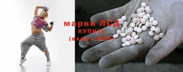 прущие грибы Абинск
