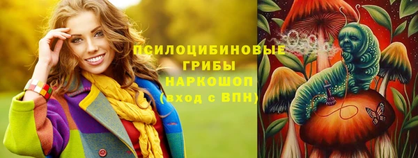 спиды Абаза