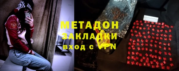 прущие грибы Абинск