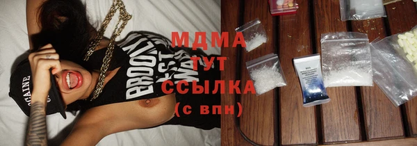 прущие грибы Абинск